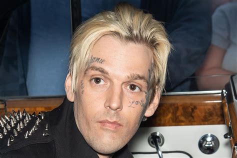 aaron carter vermögen|Aaron Carter was earning $400,000 a year